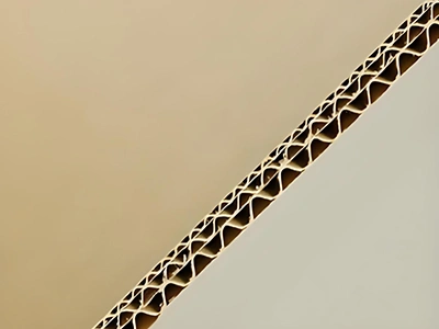 Sample Display